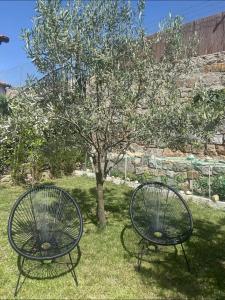 Κήπος έξω από το El jardín de las piedras