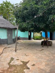 a person sitting under a tree in front of a building at Savannah Lodge in Larabanga