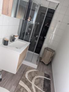 a bathroom with a white sink and a shower at Schöne Ferienwohnung in Lehrberg +19 photos