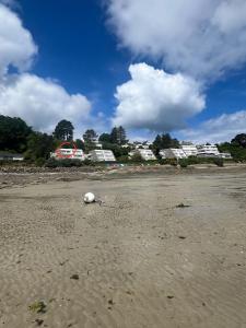 a ball sitting on the sand on a beach at Appartement pieds dans l'eau, Locquirec in Locquirec