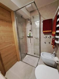 a bathroom with a shower and a toilet and a sink at Appartamento di Lusso con Vista Lago a Misurina - Cortina in Misurina +19 photos