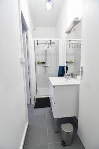 Un baño blanco con lavabo y ducha. en Le Nid Douillet Saint-Dizier Republic, en Saint-Dizier