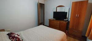 a bedroom with a bed and a dresser with a television at PompinHouse in Ushuaia