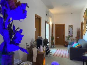 奥尔比亚Passa Parola的客厅里有一张沙发和一台电视