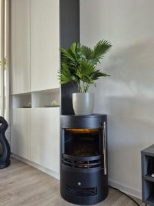 una chimenea negra con una planta encima en Casa Sunset, en Sînpetru