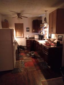 a kitchen with a dog standing in the middle of it at Cozy 2 Bedroom Home in Madison