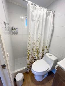 a white bathroom with a toilet and a shower at Cabaña Ensenada, Puerto Varas - 1 ambiente in Puerto Varas