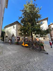 a building with a tree and bikes parked in front of it at Casa dell'Edera T in Orvieto