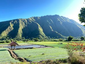 Landskap semula jadi dekat dengan hotel