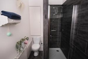 a small bathroom with a toilet and a shower at Villa Souvenir, Lenax in Lenax