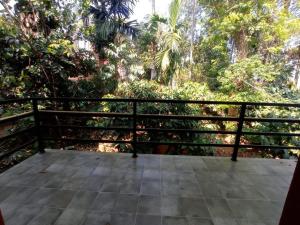 a balcony with a view of the forest at Eve's Residency in Meppādi