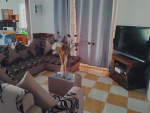 a living room with a couch and a television at Azure nest in Cap Malheureux