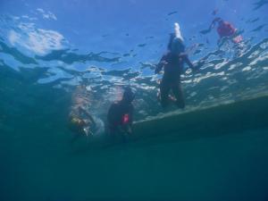 a group of people swimming in an aquarium at Paradise Raja Ampat in Dayang
