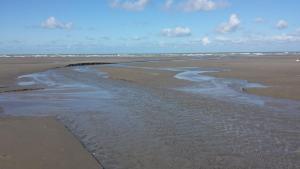 a view of a beach with a stream of water at Logies Villa Zilt in Koksijde