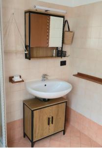 a bathroom with a sink and a mirror at Rifugio di Niki e Kristine in Falcade +63 photos