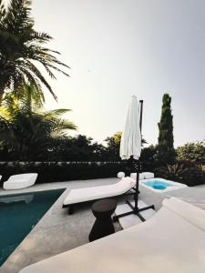 Hồ bơi trong/gần Villa Golfinho Luxury