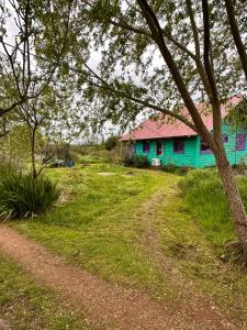 a green house with a pink roof in a field at Casa grande Los Manzanos in Aiguá