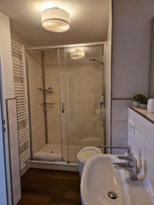 een badkamer met douche, wastafel en toilet bij Galeriewohnung Ritter Ramm mit kostenlosem Parkplatz und Kamin, Bahnhof fußläufig in Goslar +14 foto's