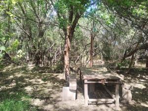 a picnic table in the shade of a tree at Casa Rodante y Camping Los Retoños in San Marcos Sierras