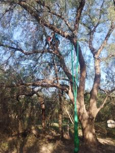 a person is climbing a tree with a green pole at Casa Rodante y Camping Los Retoños in San Marcos Sierras