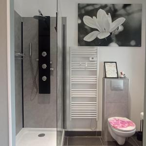 a bathroom with a shower and a toilet at Cottage 3 étoiles à 25 mn de la côte de granit rose in Bégard