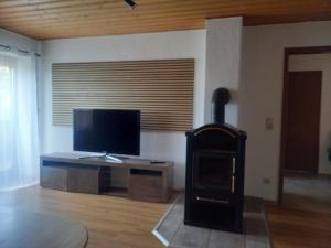 a living room with a flat screen tv and a fireplace at Ferienwohnung am Pinzigberg in Degelsdorf