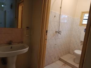 a bathroom with a sink and a toilet and a shower at Blissful abode in Kisumu