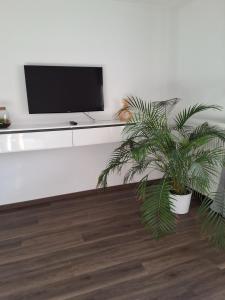 a living room with a tv and a plant at Ferienwohnung in Weil am Rhein