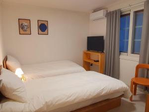 a hotel room with two beds and a television at 스테이부산길 Stay Busan-gil Guesthouse Seomyeon Busan 