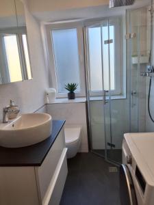 a bathroom with a sink and a toilet and a shower at Ferienwohnung in Weil am Rhein