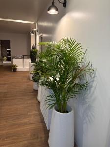 a row of potted plants in a hallway at Samui 2 Bedroom Apartment - Near Beach & Night Market in Ban Lamai