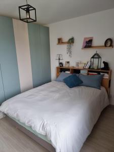 a bedroom with a large white bed with blue pillows at Appartement F3 Carolina - Triangle Annecy, Chamonix, Genève in Reignier