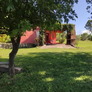 Κήπος έξω από το La Pasionaria, casa de campo ecológica