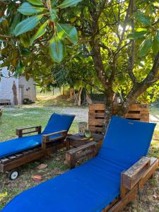 due sedie blu sotto un albero di la DROMOISE DU LOT a Saint-Sozy