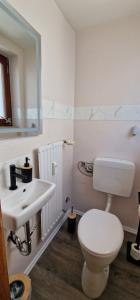 a bathroom with a white toilet and a sink at FeWo Prinzregent - große Zentrale Wohnung, ideal für Gruppen & Familien in Bad Kissingen +15 photos