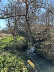 Gallery image of Côté jardin parc saint Martin in Pompignac