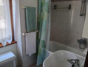 a bathroom with a sink and a shower curtain at casa Silene in Caderzone +28 photos