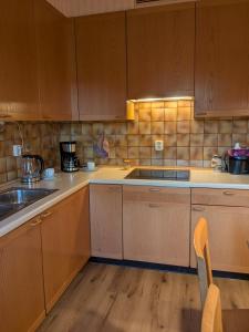 a kitchen with wooden cabinets and a sink at Villa Viola 