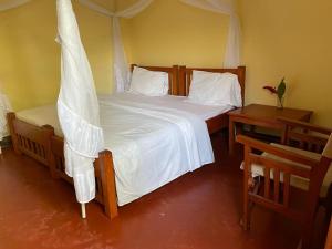 a bedroom with a bed with a mosquito net at Nguruma house of travellers and tours in Arusha +21 photos