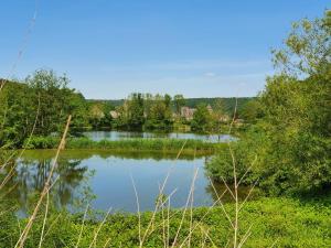 a view of a lake in the middle of a forest at Le gîte de Hourpes in Thuin