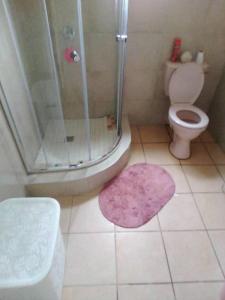 a bathroom with a shower and a toilet and a rug at Encome Guest house in Pongola