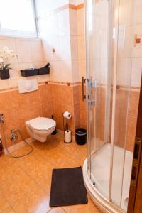 a bathroom with a toilet and a shower at Entire condominium, Boží Dar, Czech Republic in Boží Dar
