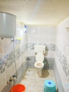 New HampiにあるNew Siddharth homestay hampiの小さなバスルーム(トイレ、シャワー付)