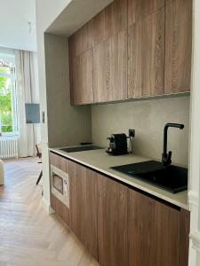 eine Küche mit Holzschränken und einer Spüle in der Unterkunft Suite Brume - Maison les Arcades au pied de la gare de Charleville-Mézières in Charleville-Mézières
