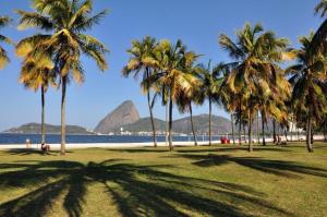 a group of palm trees on a beach with a mountain at Studio 714 - Flamengo in Rio de Janeiro