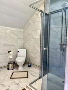 a bathroom with a toilet and a glass shower at Іній in Vorokhta +10 photos