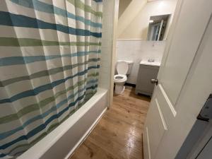 a bathroom with a toilet and a shower curtain at Comfy PR near UHS Wilson and BU in Johnson City