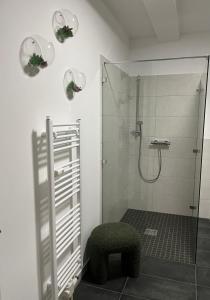 Bilik mandi di ANER 6 eleganter Loft mit Infrarotsauna in Dresden Weißer Hirsch