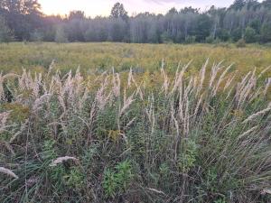 Fotografie z fotogalerie ubytování LeoLand - Zero Udogodnień v destinaci Babice