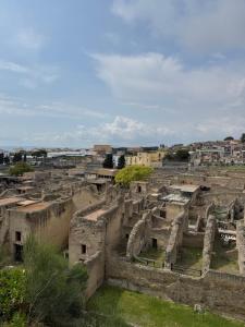 a view of the ruins of an amphitheater at Bonheur Luxury Rooms in Ercolano